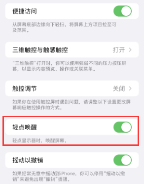 耒阳苹果授权维修站分享iPhone轻点无法唤醒怎么办