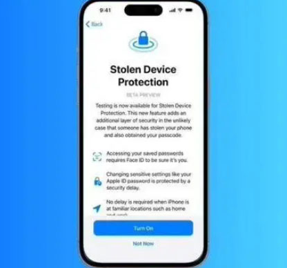 耒阳苹果授权维修店分享被盗设备保护功能开启方法