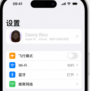 耒阳appleID维修服务iPhone设置中Apple ID显示为灰色无法使用