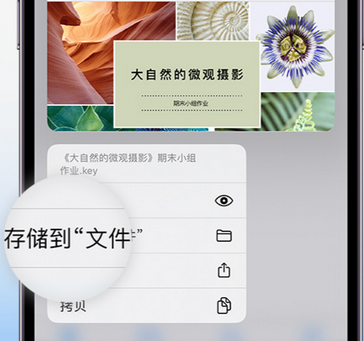 耒阳apple维修中心分享iPhone文件应用中存储和找到下载文件