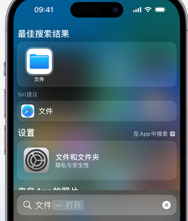 耒阳apple维修中心分享iPhone文件应用中存储和找到下载文件 