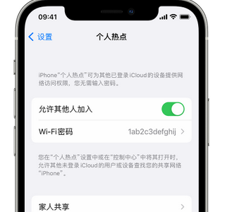 耒阳apple服务站点分享iPhone上个人热点丢失了怎么办 