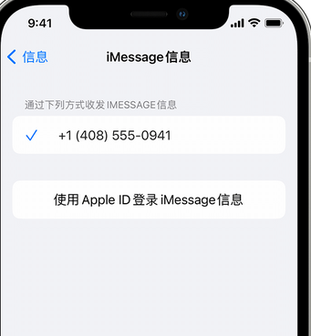 耒阳apple维修iPhone上无法正常发送iMessage信息 