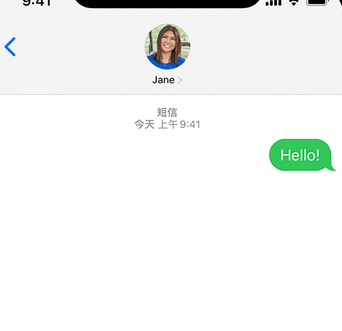 耒阳apple维修iPhone上无法正常发送iMessage信息