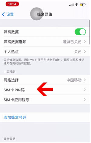 耒阳苹果14维修网分享如何给iPhone14的SIM卡设置密码 