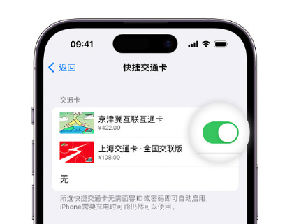 耒阳apple维修点分享iPhone上更换Apple Pay快捷交通卡手绘卡面 