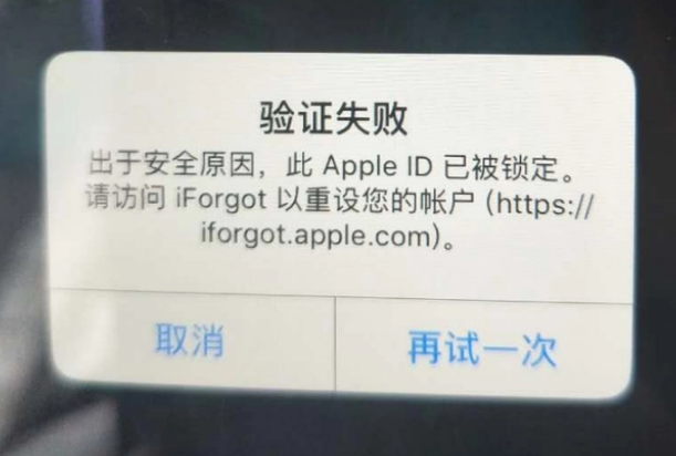 耒阳iPhone维修分享iPhone上正常登录或使用AppleID怎么办 