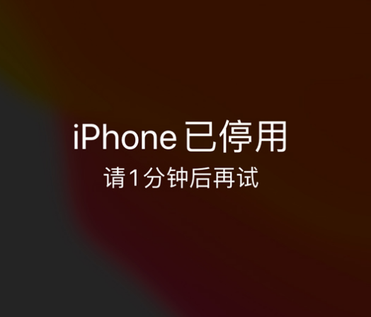 耒阳苹果手机维修分享:iPhone 显示“不可用”或“已停用”怎么办？还能保留数据吗？ 