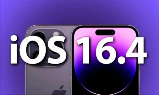 耒阳苹果14维修分享：iPhone14可以升级iOS16.4beta2吗？ 