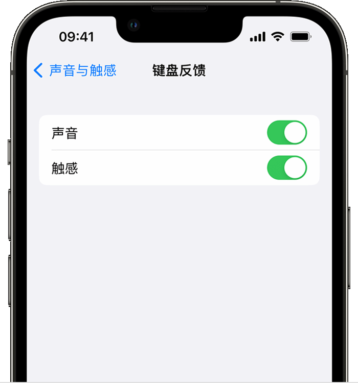 耒阳苹果14维修店分享如何在 iPhone 14 机型中使用触感键盘 