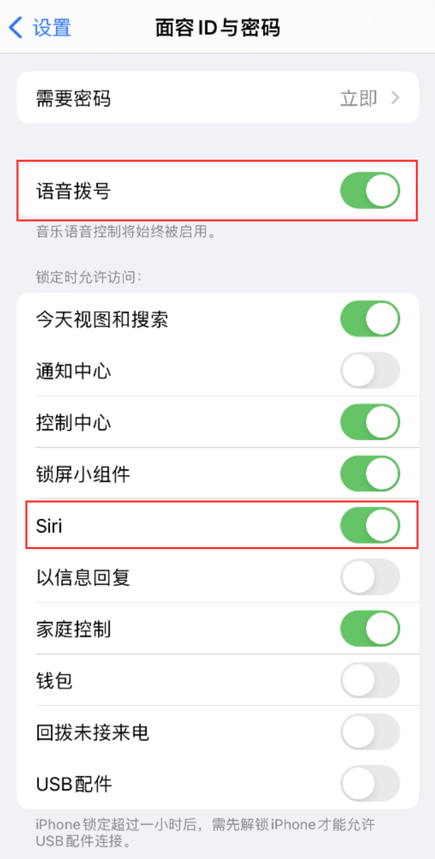 耒阳苹果维修网点分享不解锁 iPhone 的情况下通过 Siri 拨打电话的方法 