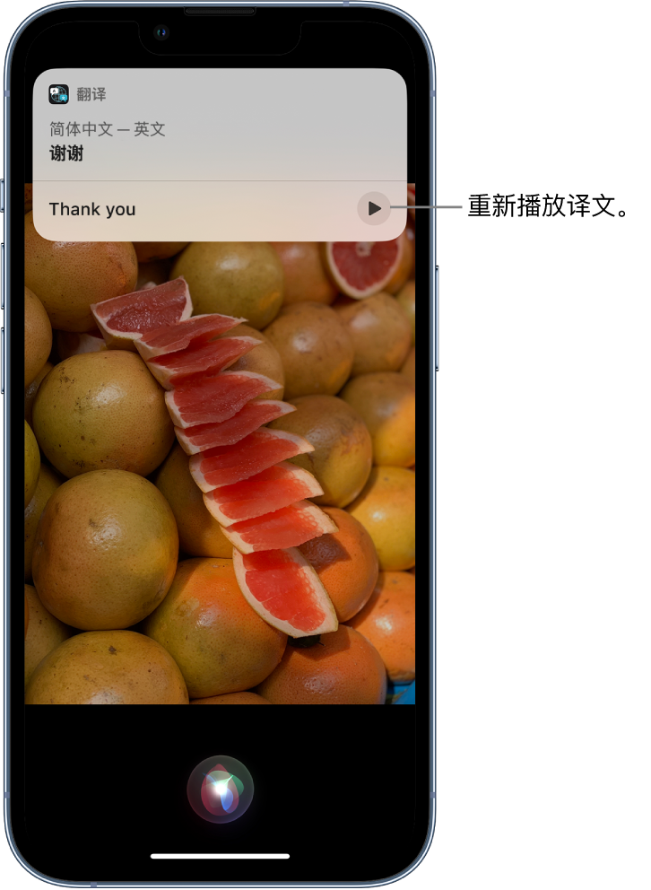 耒阳苹果14维修分享 iPhone 14 机型中使用 Siri：了解 Siri 能帮你做什么 