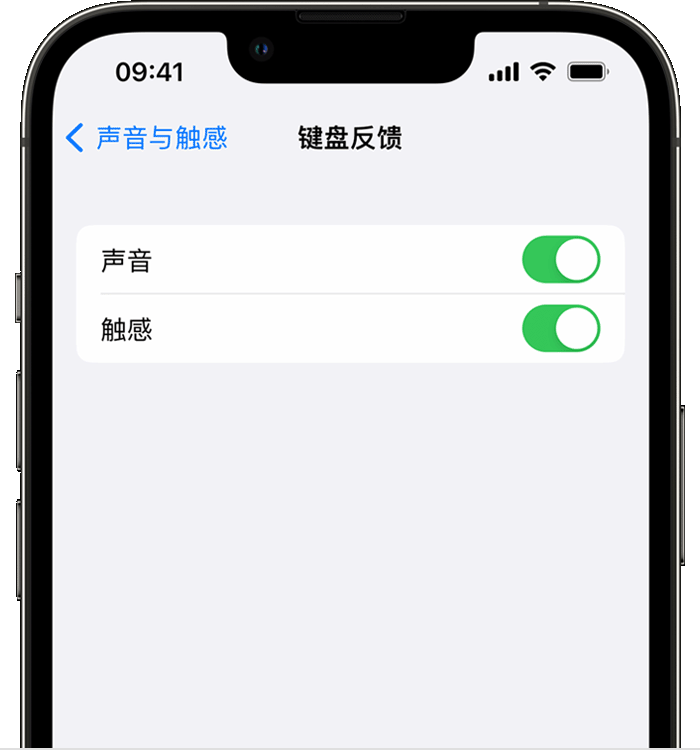 耒阳苹果14维修分享iPhone 14 系列机型如何开启键盘声音或触感反馈 