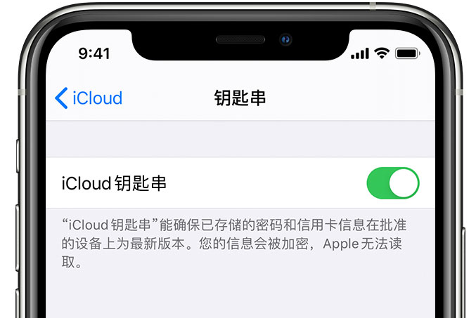 耒阳苹果手机维修分享在 iPhone 上开启 iCloud 钥匙串之后会储存哪些信息 