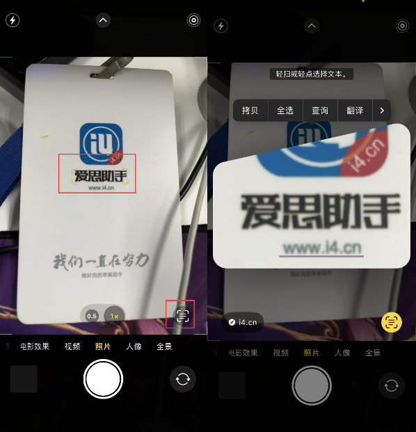 耒阳苹果手机维修分享升级iOS 16后如何通过相机翻译文本 