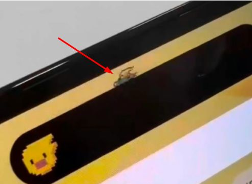耒阳苹果14维修分享iPhone 14 Pro Max灵动岛怎么养宠物 