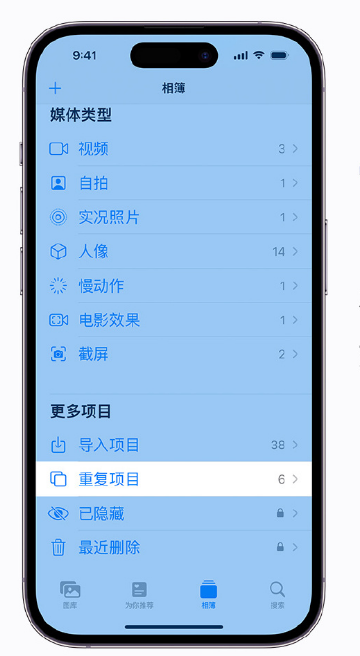 耒阳苹果手机维修分享升级 iOS 16 后无法查看到“重复项目”相簿怎么办 