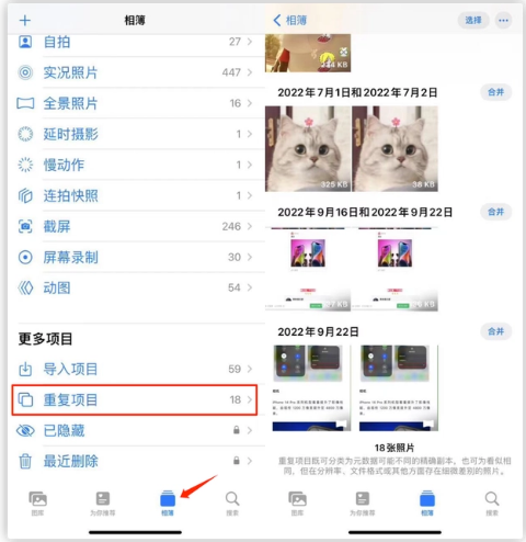 耒阳苹果手机维修分享iOS 16 中相册重复项目功能使用方法 