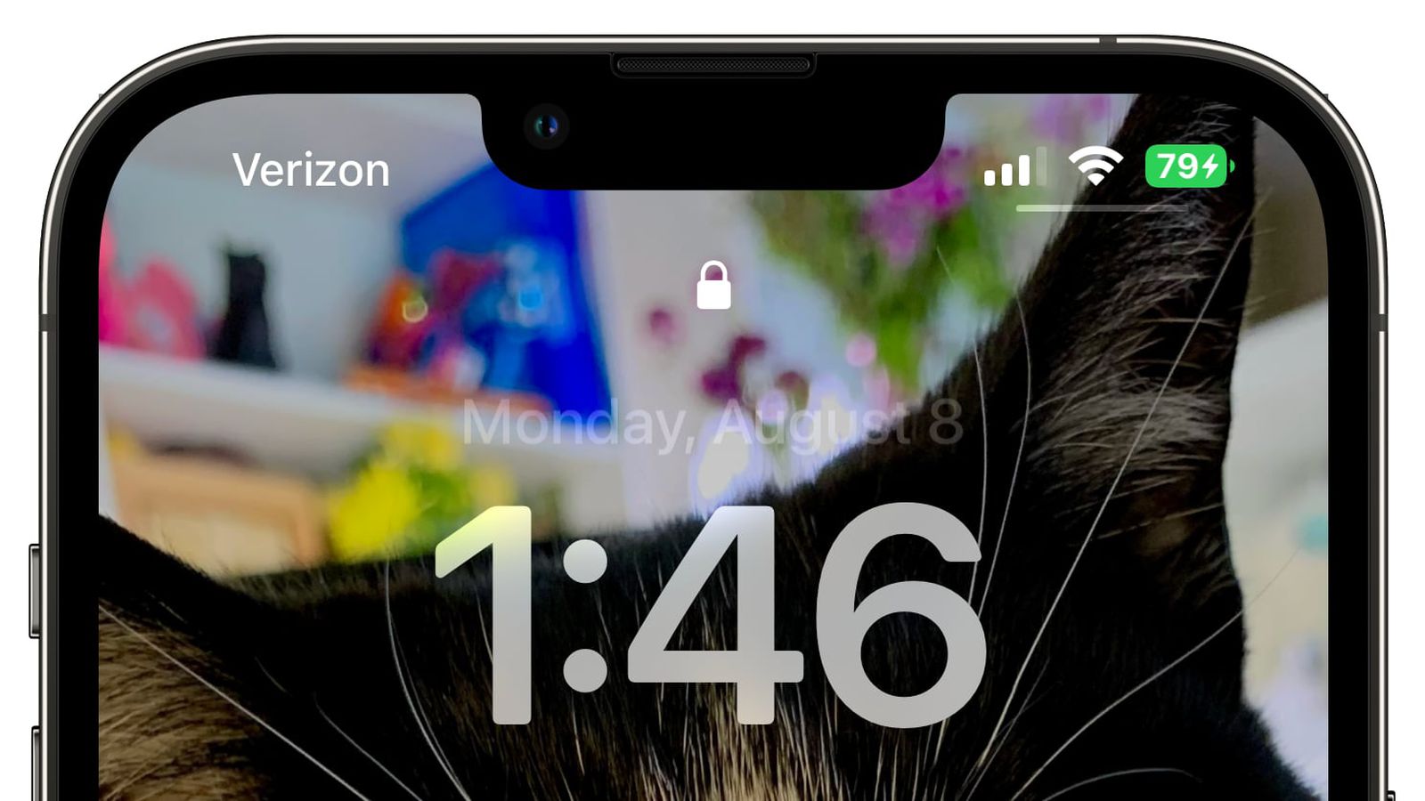 耒阳苹果手机维修分享iOS 16 beta 5 支持状态栏显示电池百分比，如何开启？支持哪些机型 