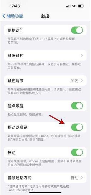 耒阳苹果手机维修分享iPhone手机如何设置摇一摇删除文字 