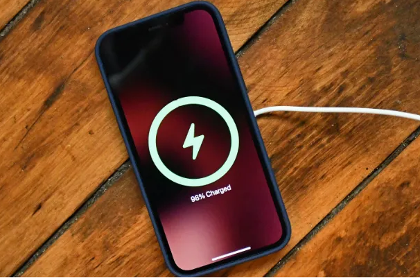 耒阳苹果手机维修分享iPhone如何正确充电 