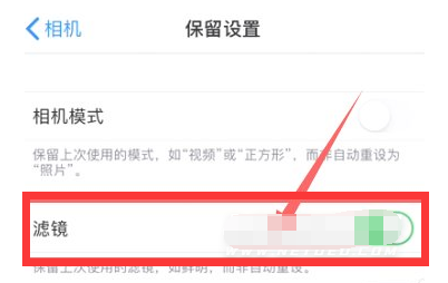耒阳苹果13维修分享iPhone13拍照有绿点是怎么回事 