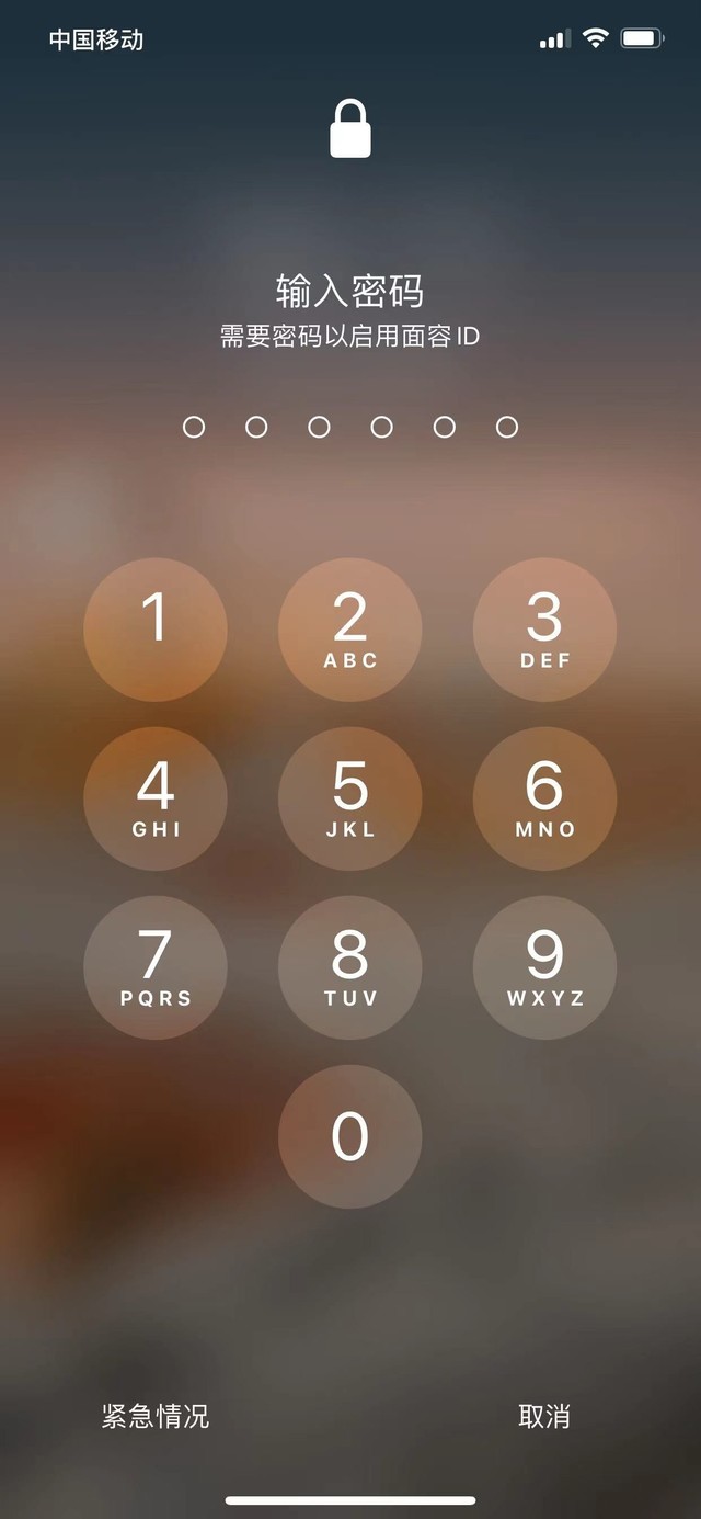 耒阳苹果13维修分享iPhone 13加强锁屏功能有什么用 