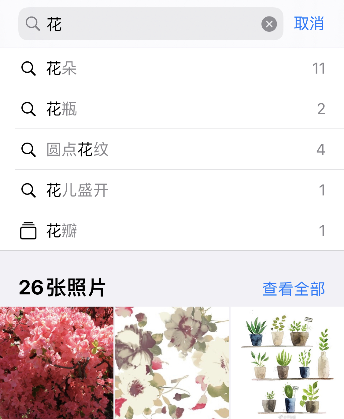 耒阳苹果手机维修分享iPhone 小技巧 