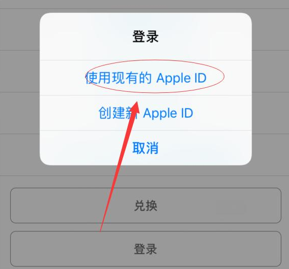 耒阳苹果手机维修分享两台iPhone设备可以同时登录一个Apple ID吗 