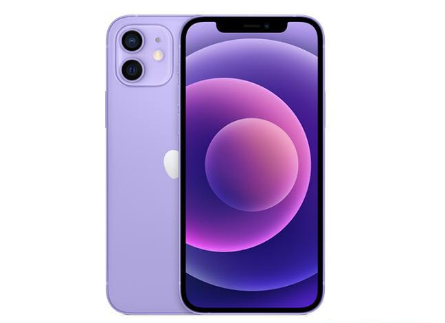 耒阳苹果手机维修分享现阶段要不要入手紫色版iPhone12 