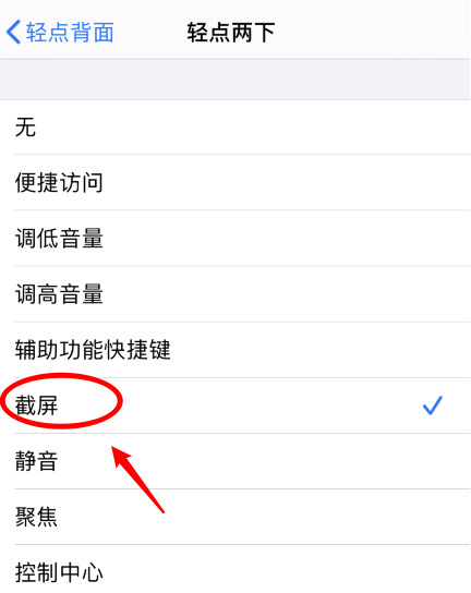 耒阳苹果手机维修分享iPhone12如何启用双击截屏 