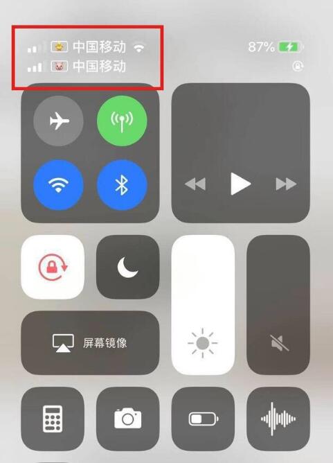 耒阳苹果手机维修分享为 iPhone 12 双卡设置标签 