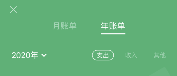 耒阳苹果手机维修分享如何在 iPhone 上查看支付宝和微信年支出账单 