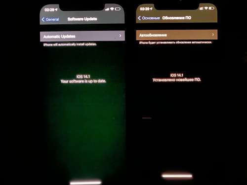 耒阳苹果手机维修分享iPhone 12 显示黑色画面时发绿光怎么办 