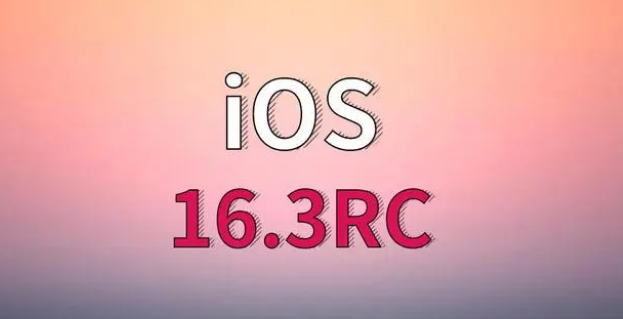 耒阳苹果手机维修分享iOS 16.3 RC版升级_iOS 16.3 RC版一键刷机教程 