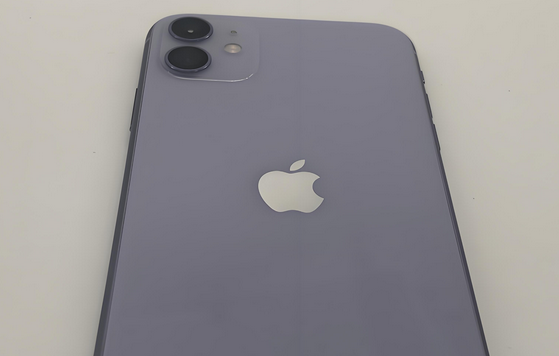 耒阳苹果11系统维修分享iPhone11手机系统崩溃无法开机如何解决 