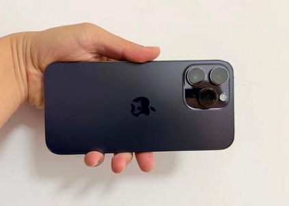 耒阳苹果维修点分享iPhone 14 Pro Max黑屏少见故障盘点 