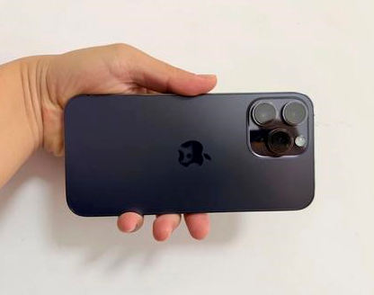 耒阳苹果维修点分享iPhone 14 Pro Max发烫多重诱因剖析 